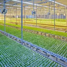 Food Security & Sustainable Agriculture